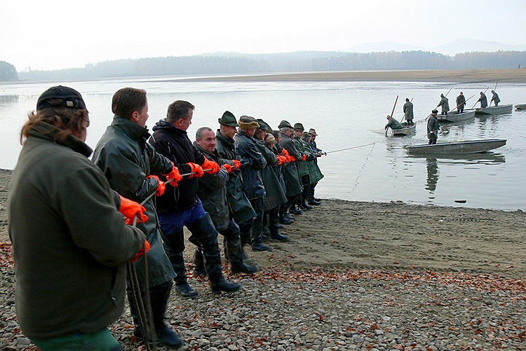 Výlov rybníka Žár 28. října 2013