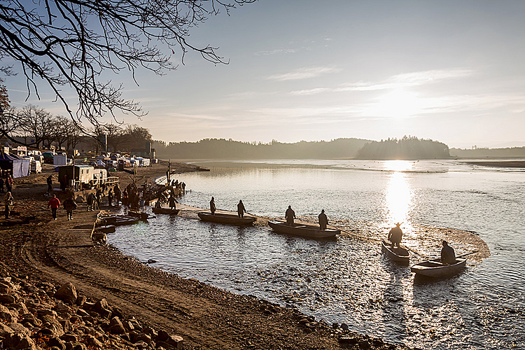 Výlov rybníka Žár 28. října 2013