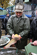 Výlov rybníka Žár 28. října 2011, Foto: Lubor Mrázek