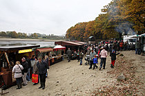 Výlov rybníka Žár 28. října 2011, Foto: Lubor Mrázek