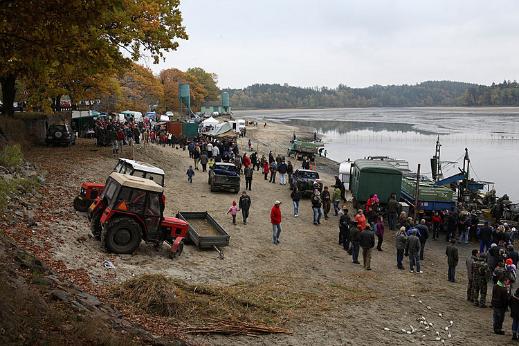 Výlov rybníka Žár 28. října 2011