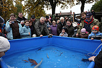 Výlov rybníka Žár 28. října 2011, Foto: Lubor Mrázek