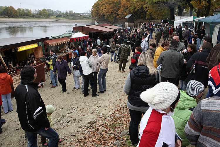 Výlov rybníka Žár 28. října 2011