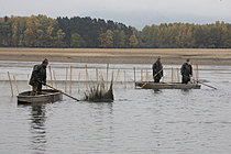 Výlov rybníka Žár 28. října 2011, Foto: Lubor Mrázek