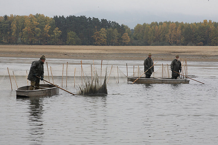 Výlov rybníka Žár 28. října 2011