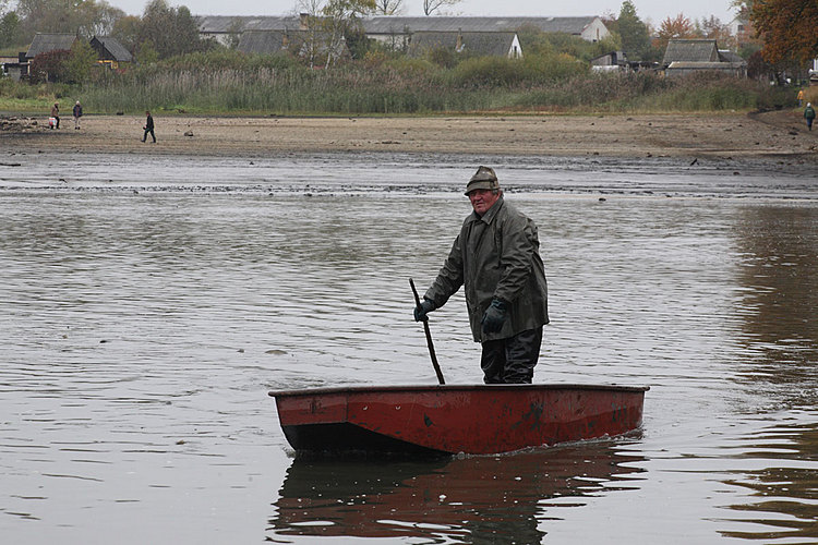 Výlov rybníka Žár 28. října 2011