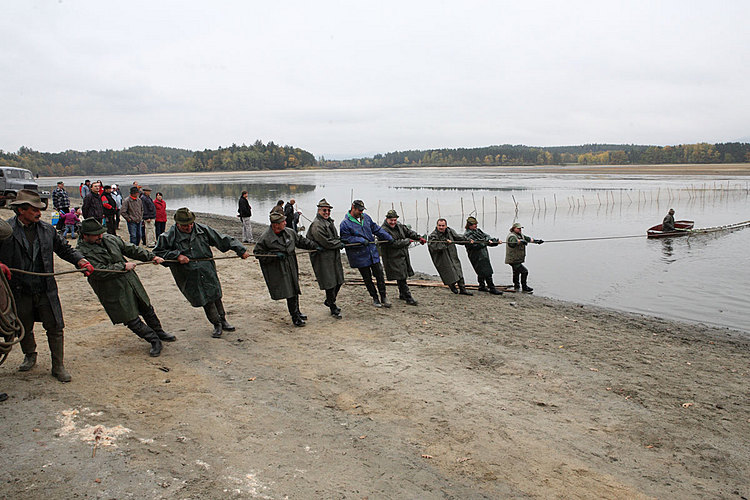 Výlov rybníka Žár 28. října 2011