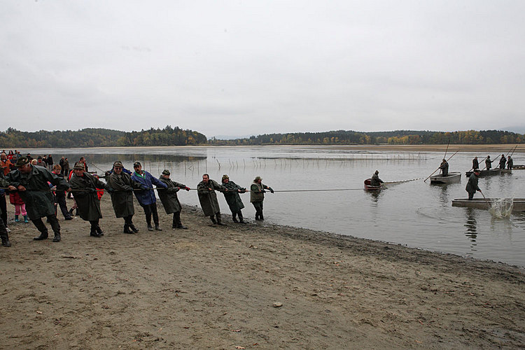 Výlov rybníka Žár 28. října 2011