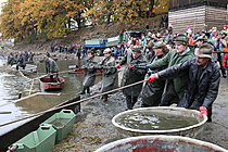 Výlov rybníka Žár 28. října 2011, Foto: Lubor Mrázek