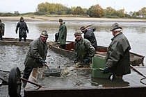 Výlov rybníka Žár 28. října 2011, Foto: Lubor Mrázek