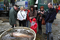 Výlov rybníka Žár 28. října 2011, Foto: Lubor Mrázek