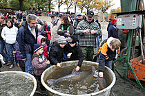 Výlov rybníka Žár 28. října 2011, Foto: Lubor Mrázek