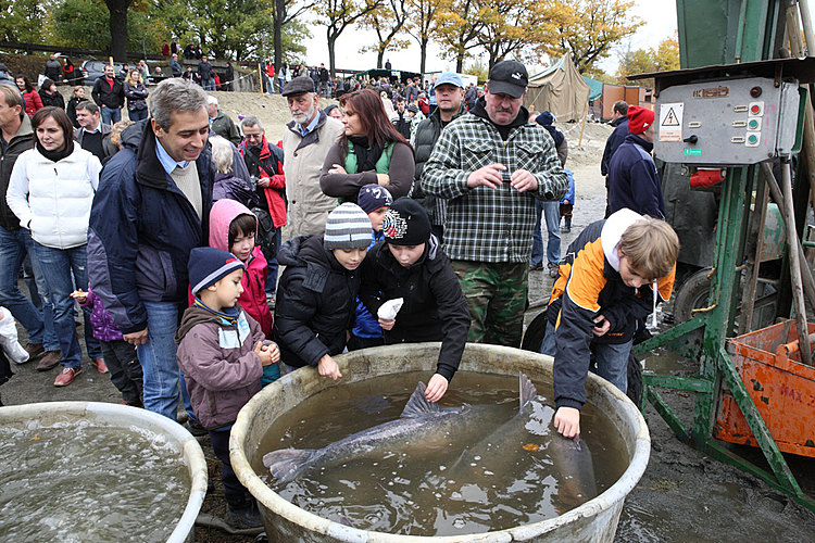 Výlov rybníka Žár 28. října 2011