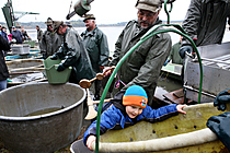 Výlov rybníka Žár 28. října 2011, Foto: Lubor Mrázek